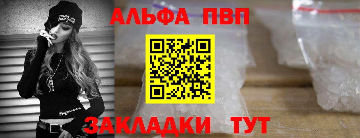Alfa_PVP СК КРИС Кызыл