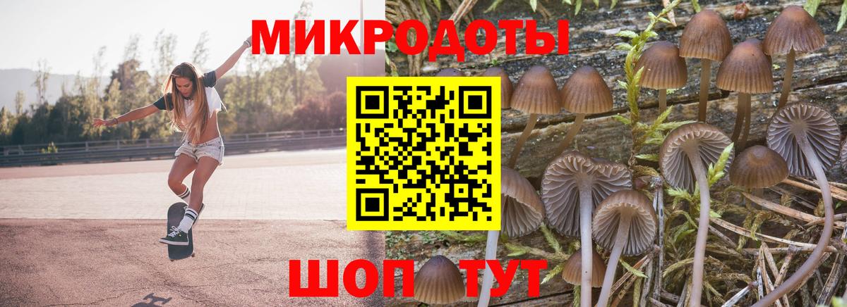 Кызыл  Псилоцибиновые грибы ЛСД  Вход с VPN 